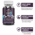 Shilajit Gummies