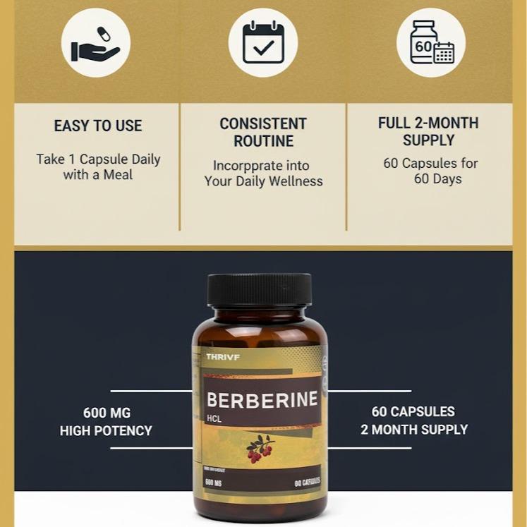 THRIVF Berberine HCL 600 mg 60 Capsules for Enhanced Wellness