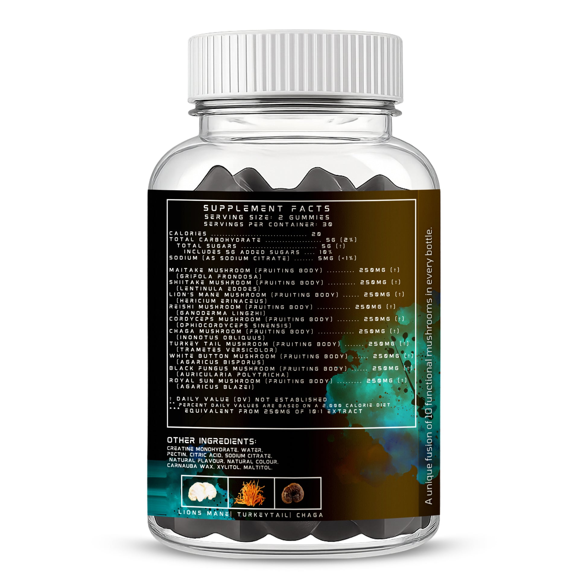 LIONSMANE &TURKEY TAIL & CHAGA 10 MUSHROOM BLEND
